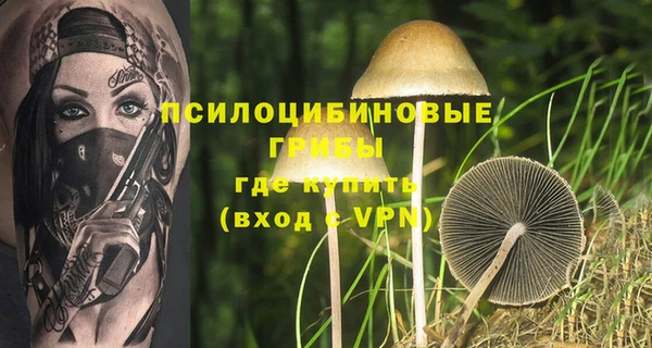 спиды Волосово