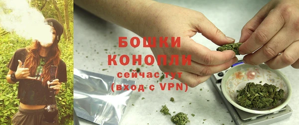спайс Вяземский
